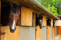 free Wannock stable construction quotes